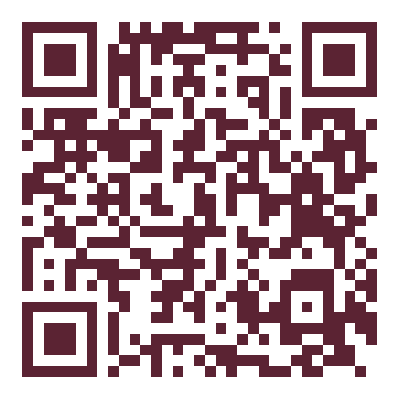QR Code — 📱 [DEMO] iPhone 13 — შესანიშნავი მდგომარეობა