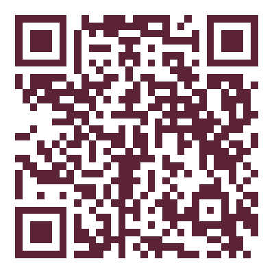QR Code — 🔧 [DEMO] სანტექნიკი — გამოძახება 24/7