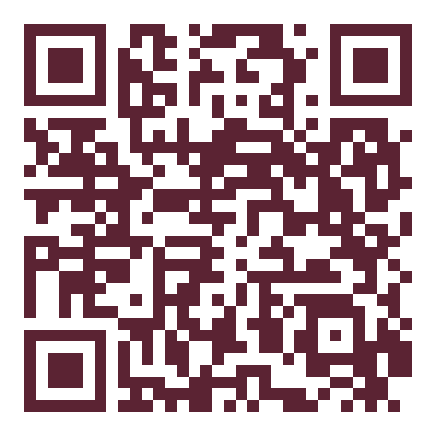 QR Code — ⚽ [DEMO] სპორტული აღჭურვილობა — ახალი