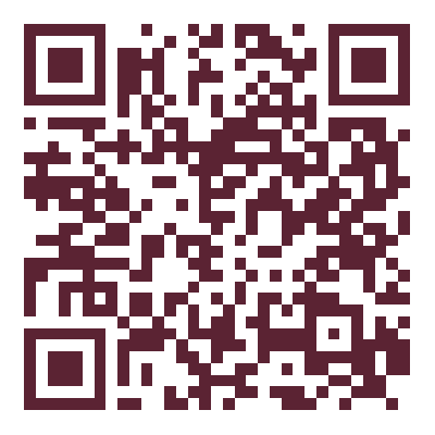 QR Code — ⚡ [DEMO] ელექტრიკი — 24/7 გარანტიით